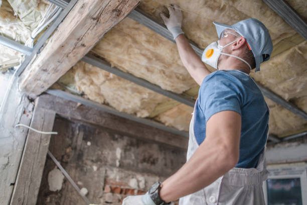 Best Residential Insulation in Beach Haven West, NJ